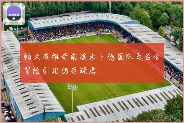 帕夫洛维奇前途未卜德国队是否会冒险引进仍存疑虑